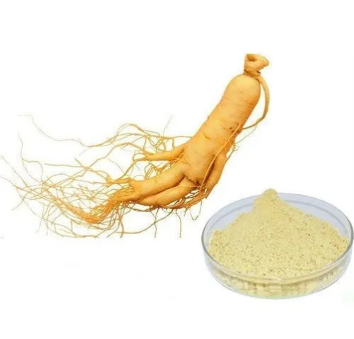 Ginseng Extract HPLC